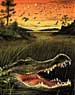 Gator