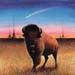 Buffalo