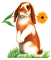 Bunny & Flower