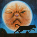 Cat Moon