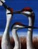 Cranes