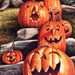 Happy Pumpkins