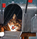 Mail Cat
