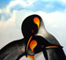Penguin Pair