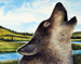 Wolf Song