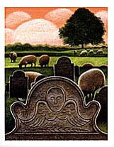 Image from the book